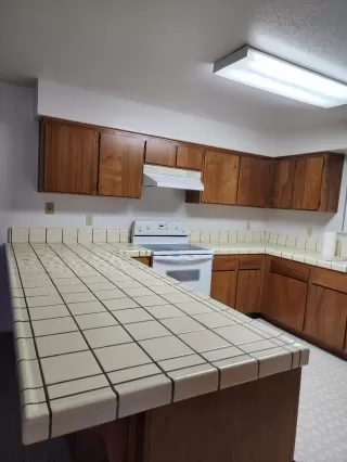 Photo #2: 223026782 Listing