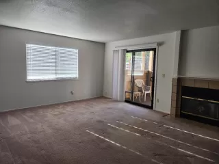 Photo #4: 223026782 Listing