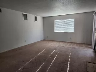 Photo #5: 223026782 Listing