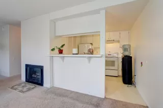 Photo #5: 223028902 Listing