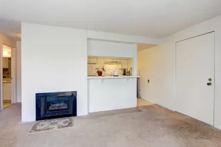 Photo #6: 223028902 Listing