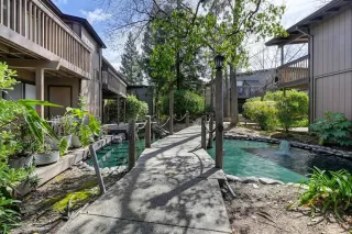 Photo #2: 223029087 Listing