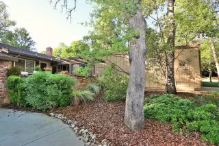 Photo #1: 223029399 Listing 