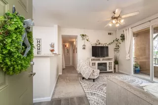 Photo #4: 223029505 Listing