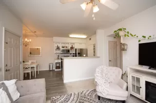 Photo #6: 223029505 Listing