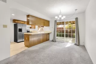 Photo #1: 223029703 Listing 