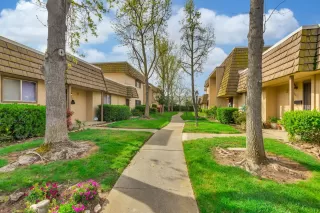 Photo #4: 223029703 Listing 