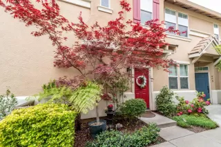Photo #4: 223029825 Listing
