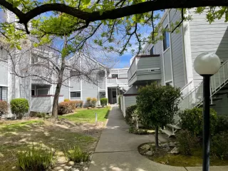 Photo #6: 223030656 Listing