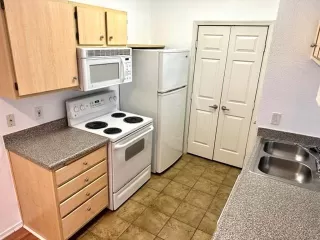 Photo #1: 223032154 Listing