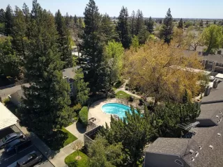 Photo #2: 223032889 Listing 