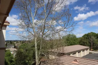 Photo #4: 223033850 Listing