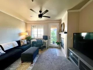 Photo #3: 223034132 Listing