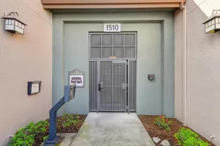 Photo #1: 223034637 Listing