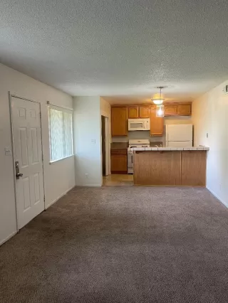 Photo #3: 223034864 Listing