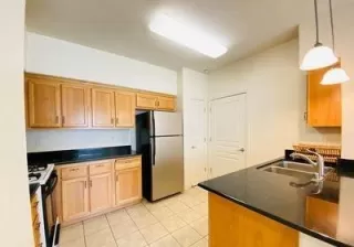 Photo #5: 223035073 Listing