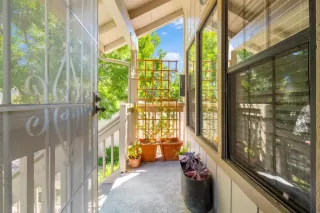 Photo #5: 223035102 Listing