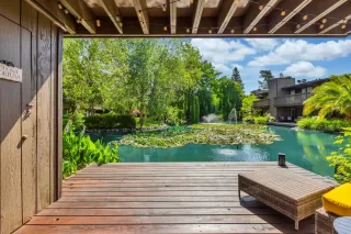 Photo #1: 223035663 Listing