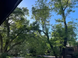 Photo #4: 223035797 Listing