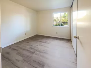 Photo #4: 223036443 Listing 