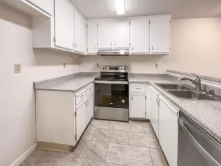 Photo #6: 223036443 Listing 