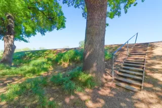 Photo #1: 223036718 Listing