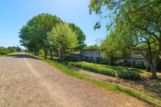 Photo #2: 223036718 Listing