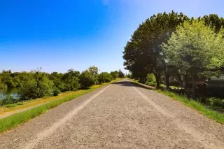 Photo #3: 223036718 Listing