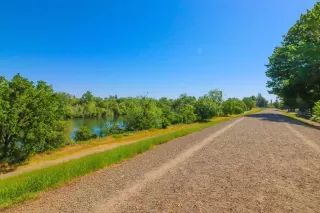 Photo #4: 223036718 Listing