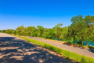 Photo #5: 223036718 Listing