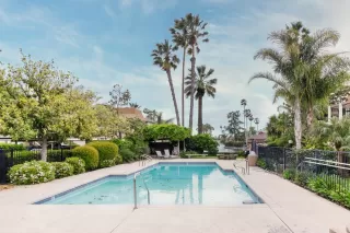 Photo #1: 223036956 Listing 