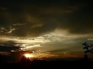 Photo #4: 223037413 Listing