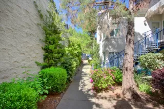 Photo #6: 223037413 Listing