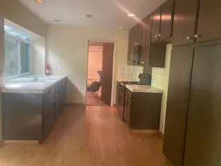 Photo #1: 223038453 Listing