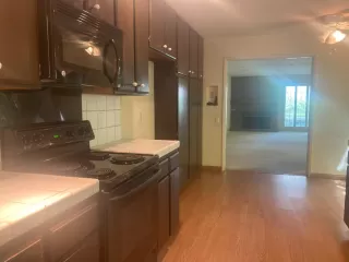 Photo #2: 223038453 Listing