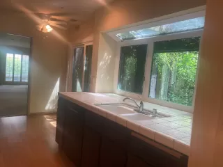 Photo #3: 223038453 Listing