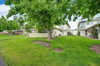 Photo #1: 223039057 Listing