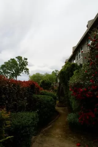 Photo #4: 223039121 Listing 