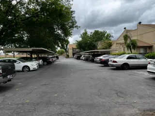 Photo #2: 223040390 Listing 