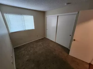 Photo #6: 223040390 Listing 