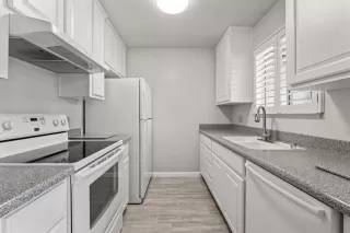 Photo #6: 223040598 Listing 