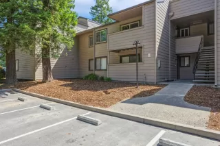 Photo #1: 223040706 Listing