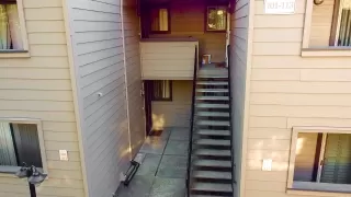 Photo #3: 223041384 Listing