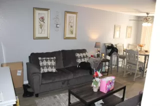 Photo #2: 223043068 Listing 