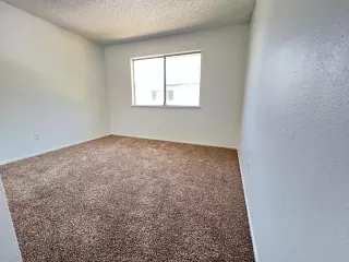 Photo #6: 223043759 Listing