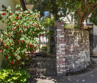 Photo #6: 223043918 Listing 