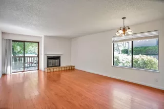 Photo #2: 223044946 Listing