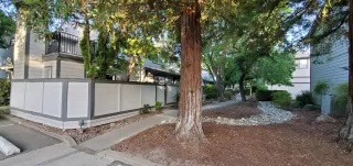 Photo #2: 223045803 Listing 