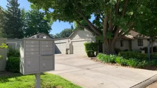 Photo #5: 223045936 Listing 