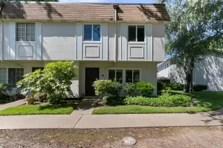 Photo #1: 223046480 Listing 